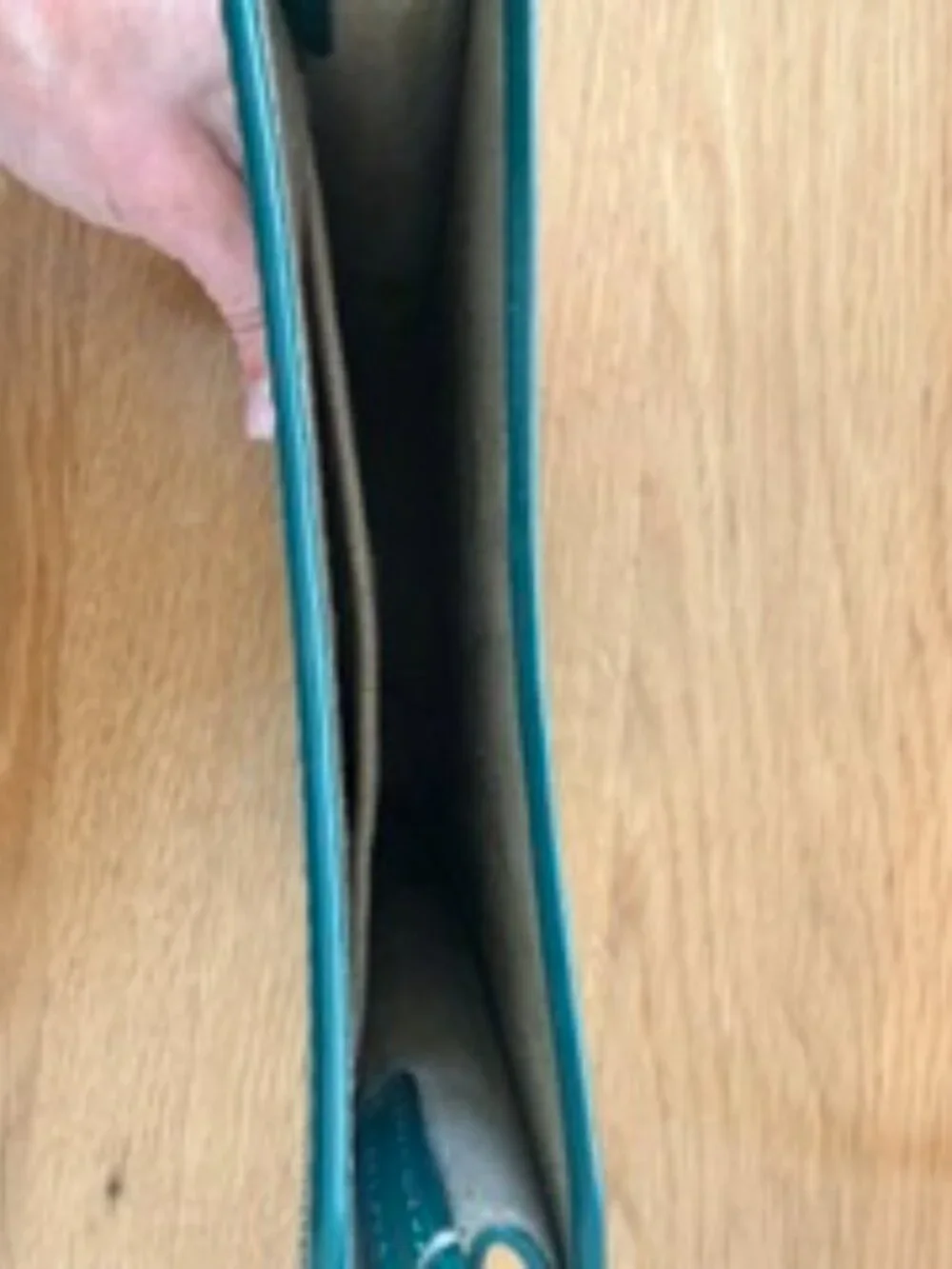 Green A.P.C. Crossbody or Phone Holder
